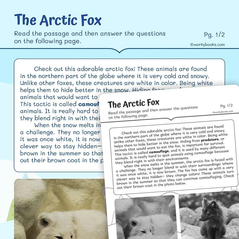 Analyze Visual information—The Arctic Fox — ela worksheet for Grade 2, page 1 of 3