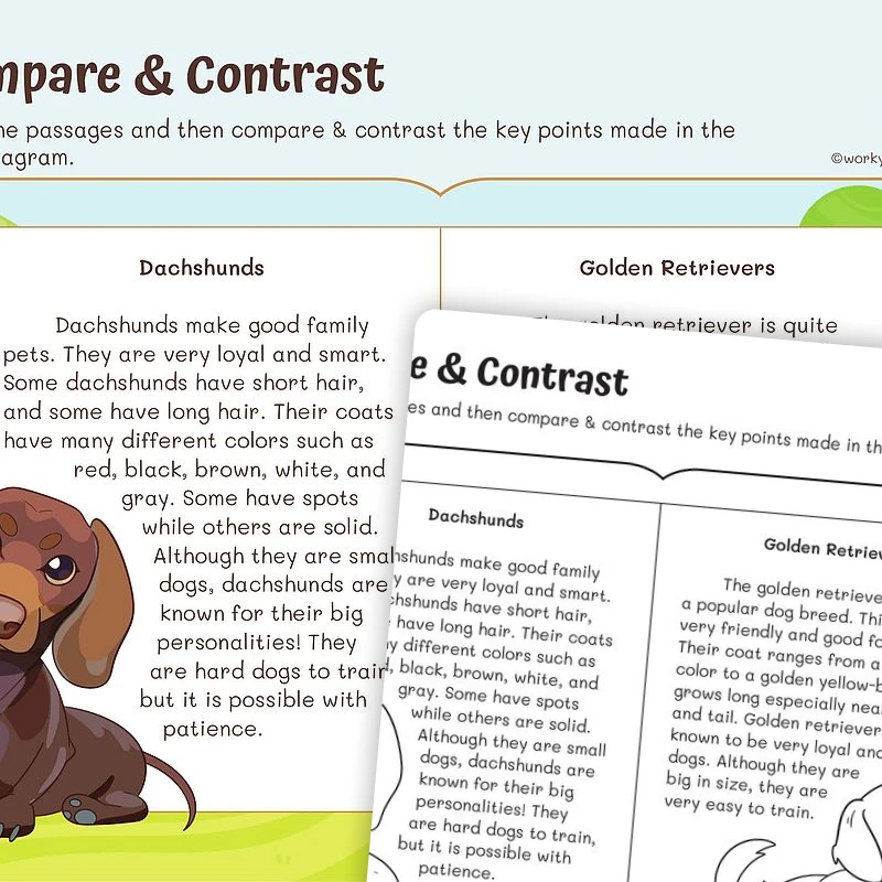 Compare Informational Texts—Dogs — ela worksheet for Grade 2, page 1 of 3