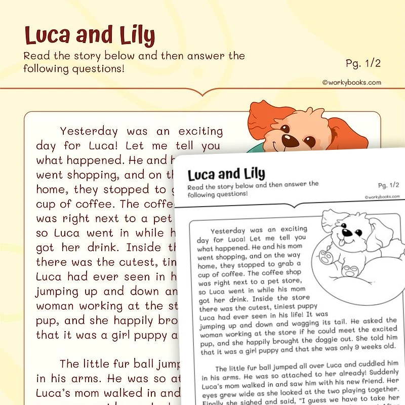 Luca and Lily—Understanding Text — ela worksheet for Grade 2, page 1 of 3