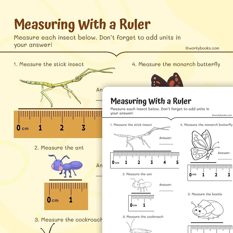 Measuring in Centimeter — math worksheet for Grade 3, page 1 of 3