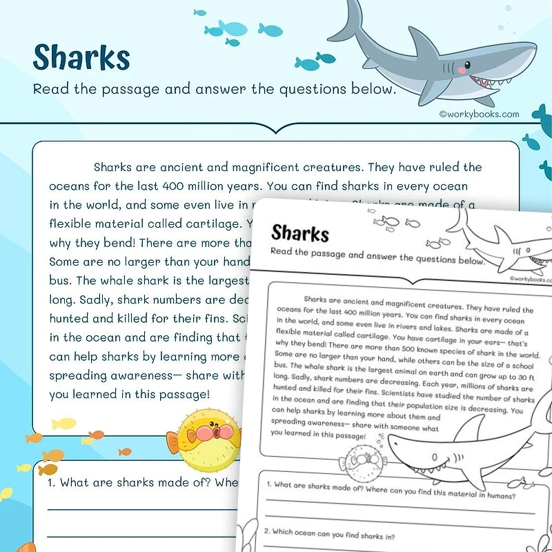 Sharks—Informational Text — ela worksheet for Grade 3, page 1 of 3