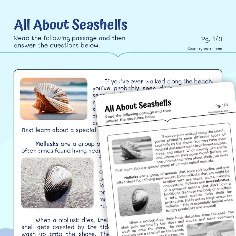 All about shells—Informational Text — ela worksheet for Grade 2, page 1 of 3