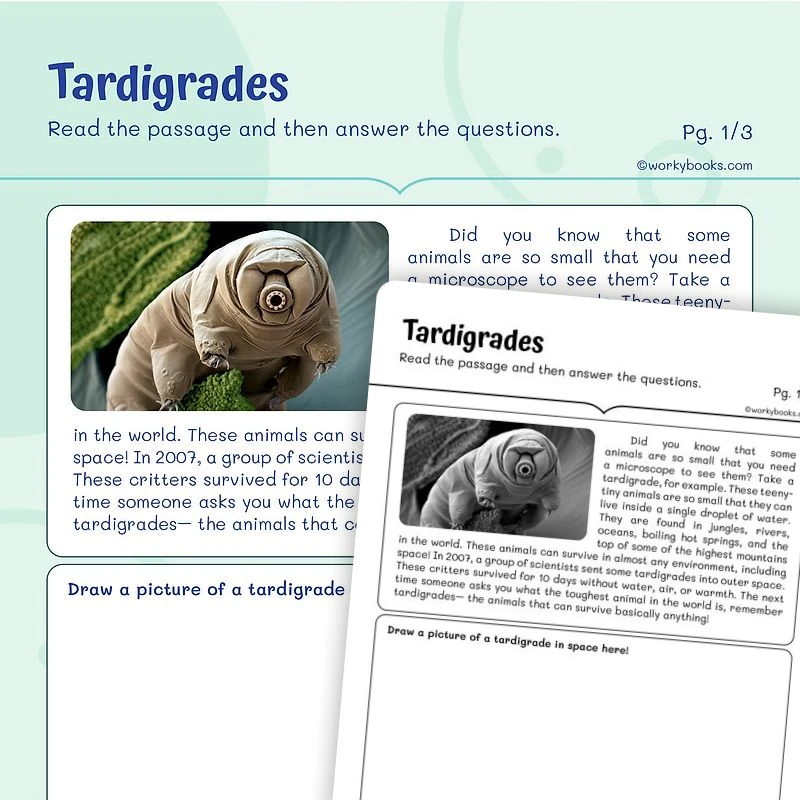 Informational Text—Tardigrades — ela worksheet for Grade 3, page 1 of 3