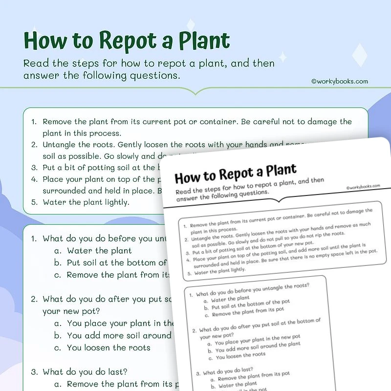 Chronological order —How to Repot a Plant — ela worksheet for Grade 3, page 1 of 3