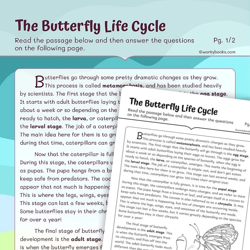 The Butterfly Life Cycle — ela worksheet for Grade 3, page 1 of 3