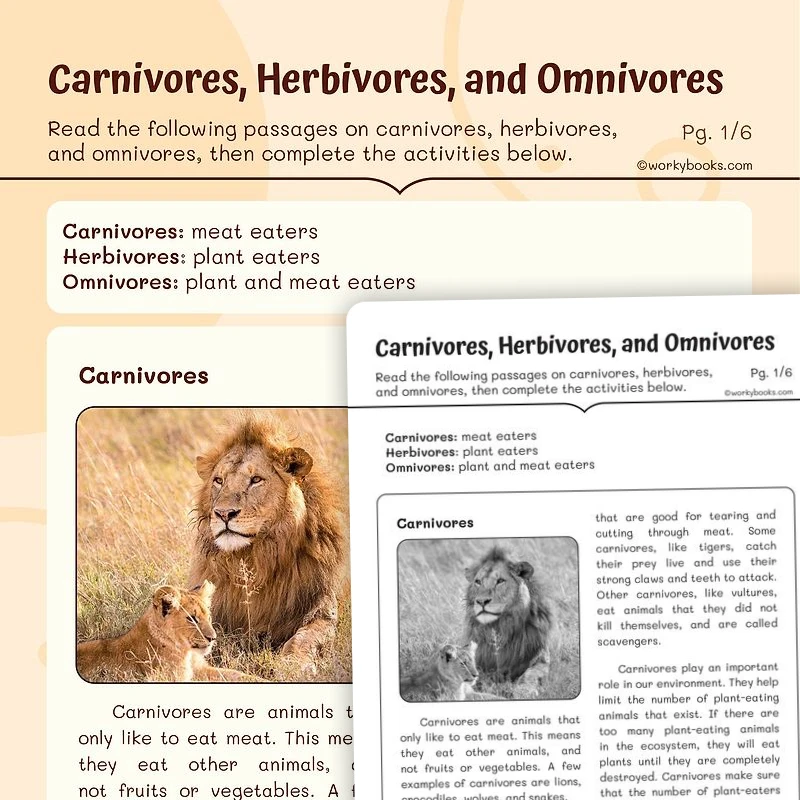 Carnivores, Herbivores, and Omnivores — ela worksheet for Grade 3, page 1 of 3