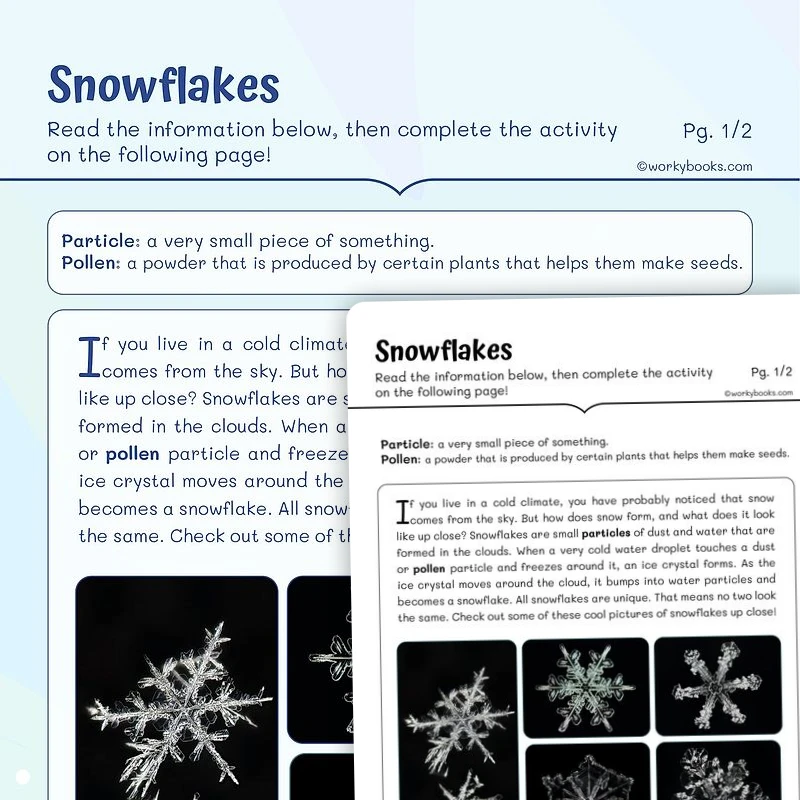 Informational Text —Snowflakes — ela worksheet for Grade 3, page 1 of 3