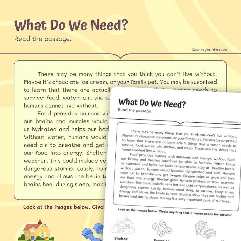 What Do Humans Need? Informational text — ela worksheet for Grade 3, page 1 of 3