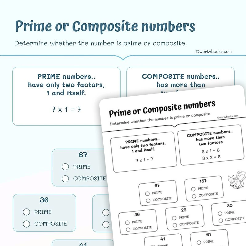 Prime or Composite Numbers — math worksheet for Grade 4, Grade 5, page 1 of 3