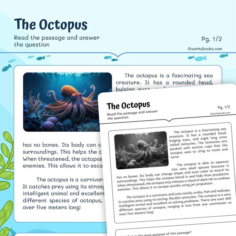 The Octopus—Reading Comprehension — ela worksheet for Grade 3, Grade 4, page 1 of 3