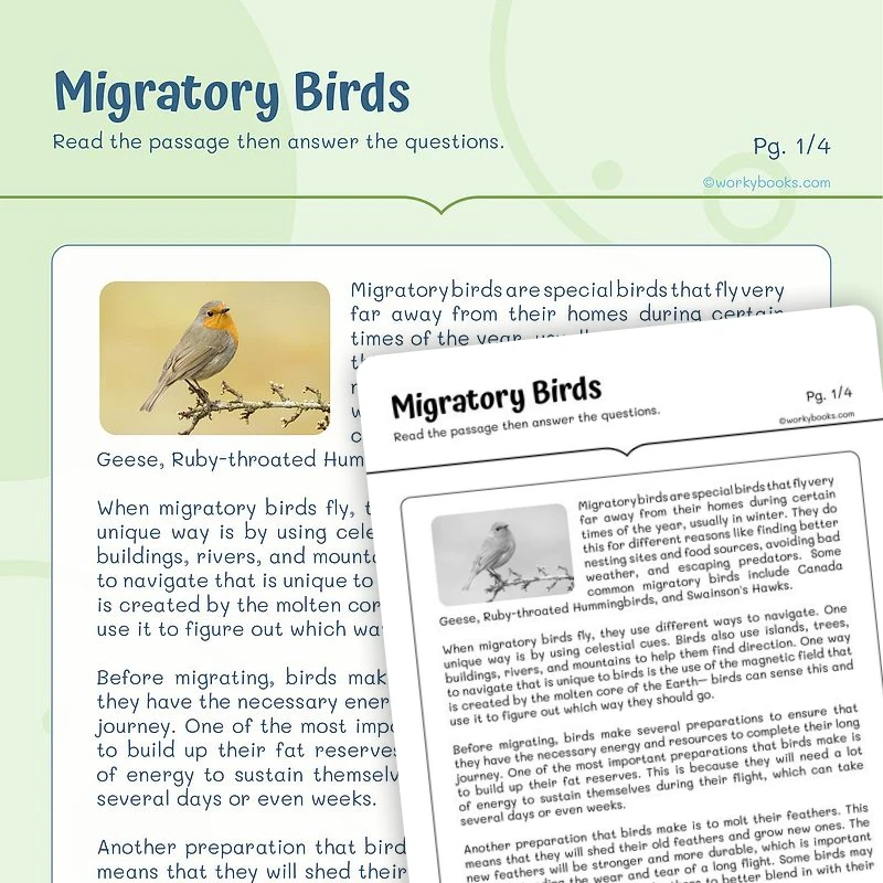 Informational Text —Migratory Birds — ela worksheet for Grade 4, Grade 5, page 1 of 3