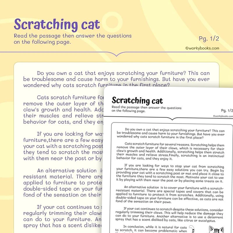 Scratching cat—Text structure — ela worksheet for Grade 4, Grade 5, page 1 of 3