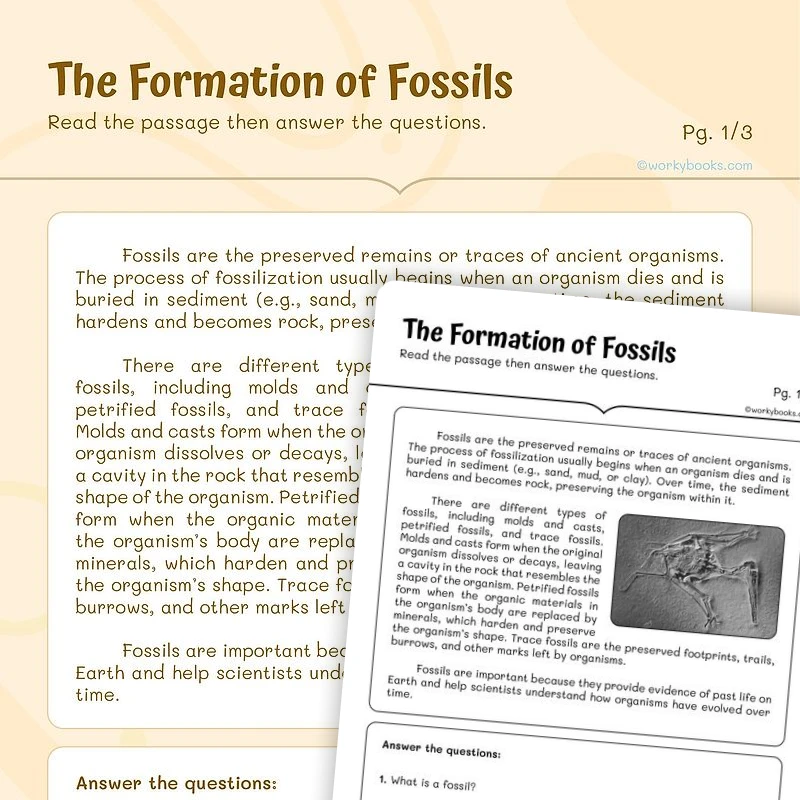 The Formation of Fossils — ela worksheet for Grade 4, Grade 5, page 1 of 3