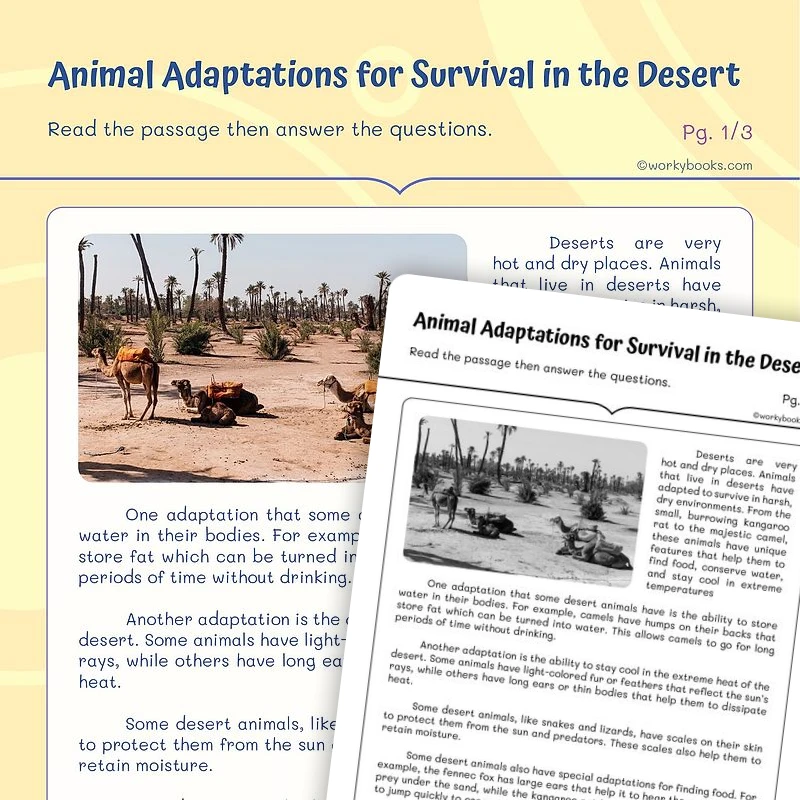 Author's Use of Reasons and Evidence — ela worksheet for Grade 4, Grade 5, page 1 of 3