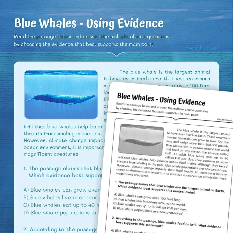 Blue Whales—Using Evidence — ela worksheet for Grade 4, Grade 5, page 1 of 3