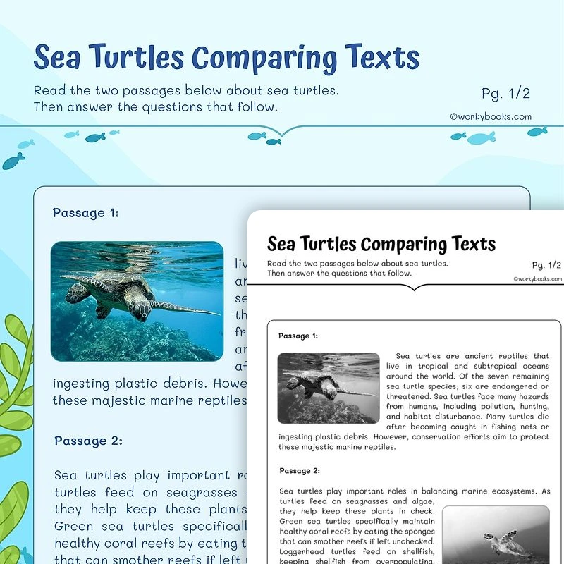 Sea Turtles Comparing Texts — ela worksheet for Grade 4, Grade 5, page 1 of 3