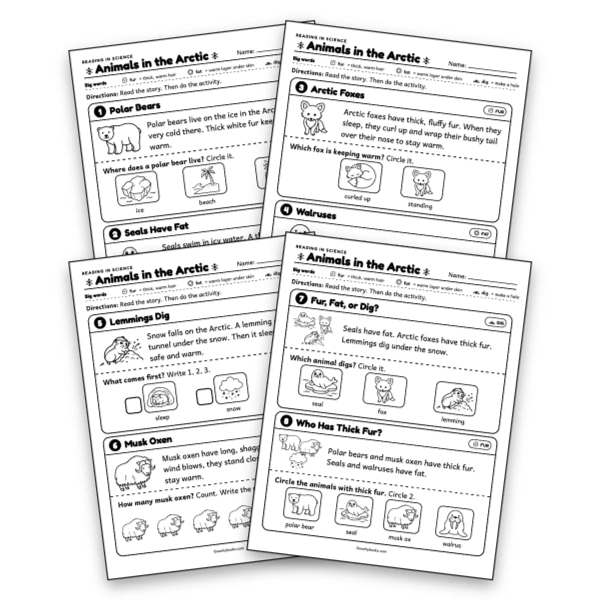 Animals in the Arctic Picture Reading Comprehension Cards — ela worksheet for Grade K, Grade 1, Grade 2, page 1 of null