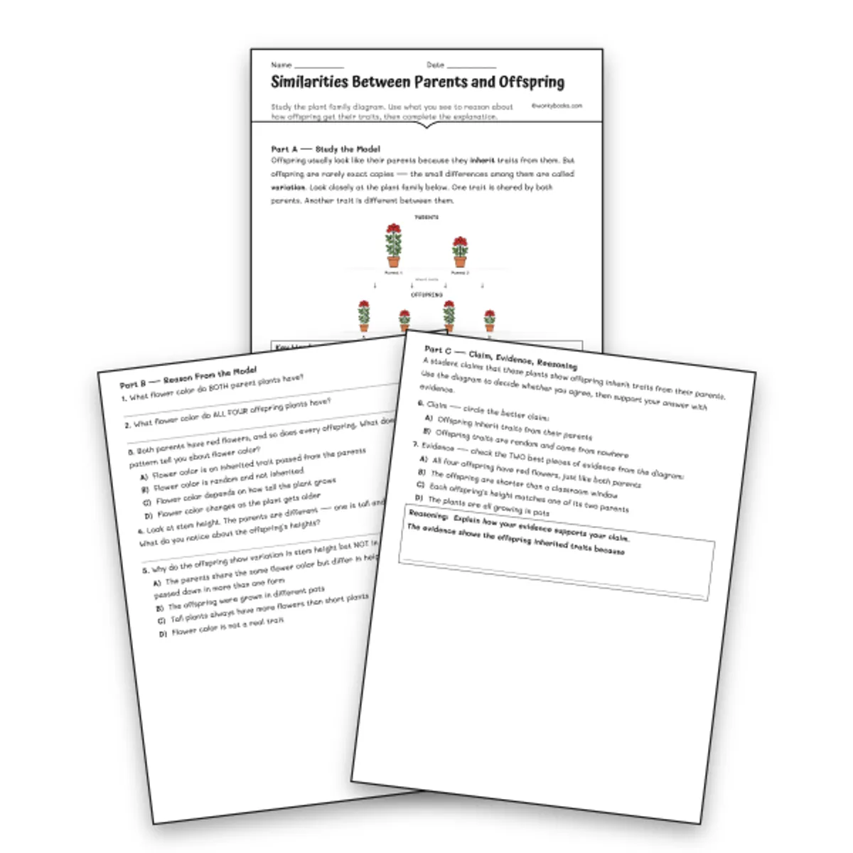 Similarities Between Parents and Offspring — science worksheet for Grade 3, Grade 4, Grade 5, page 1 of 1