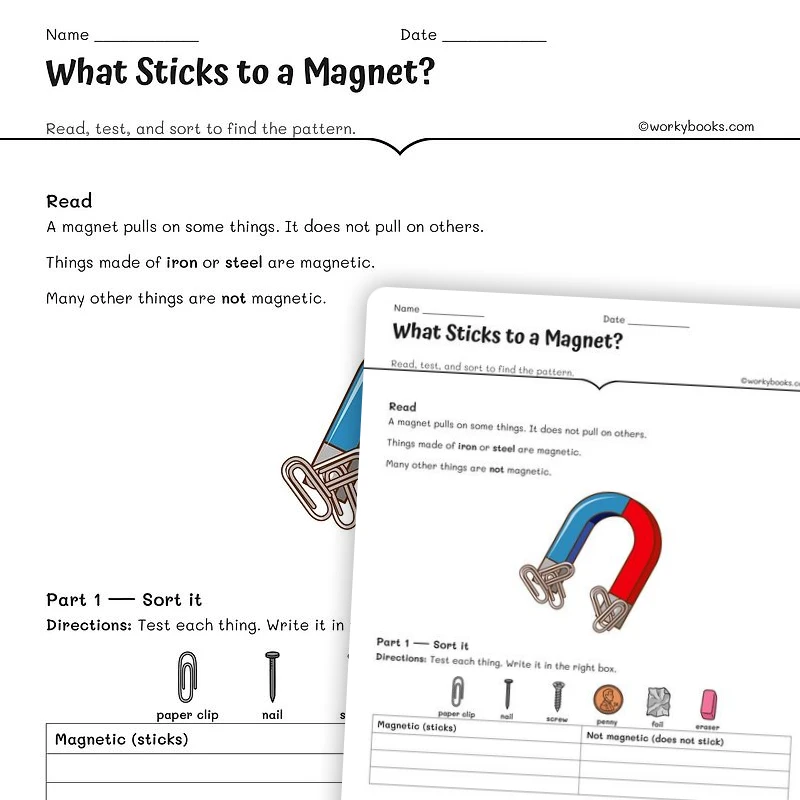 What Sticks to a Magnet? — science worksheet for Grade 3, page 1 of null