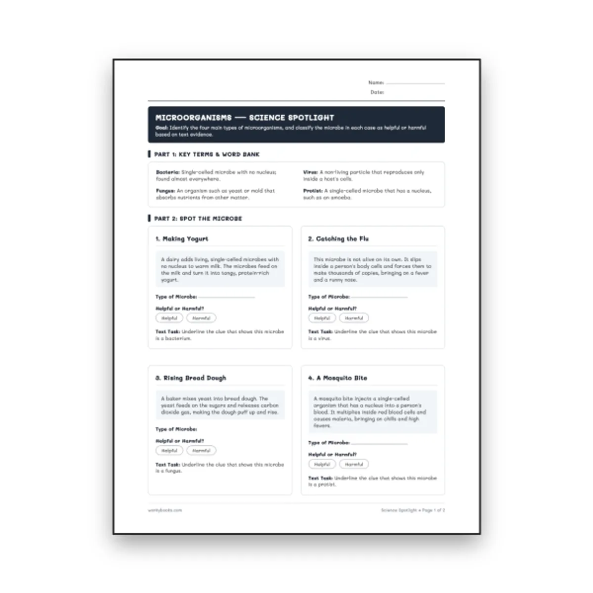 Microorganisms — science worksheet for Grade 6, Grade 7, Grade 8, page 1 of null
