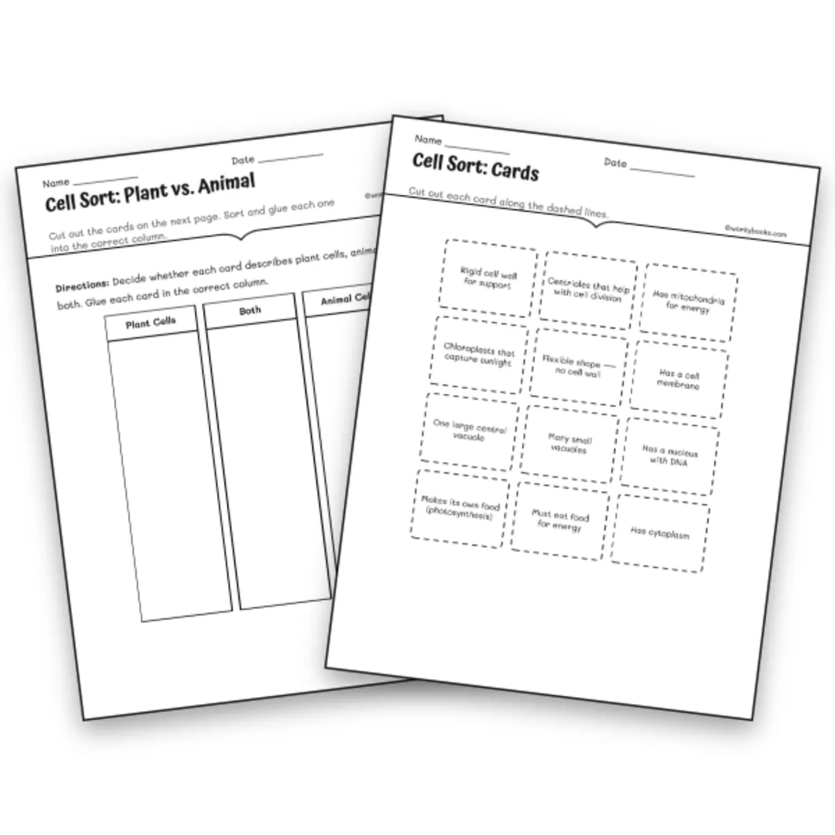 Plant vs. Animal Cells Cut and Paste Sorting Activity — science worksheet for Grade 6, Grade 7, Grade 8, page 1 of null