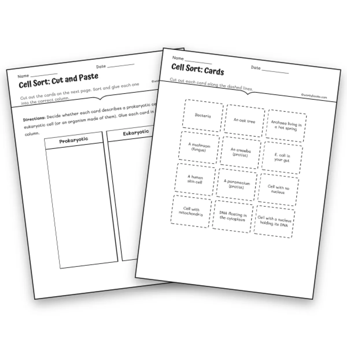 Prokaryotic vs. Eukaryotic Cells Cut and Paste Sorting Activity — science worksheet for Grade 6, Grade 7, Grade 8, page 1 of null