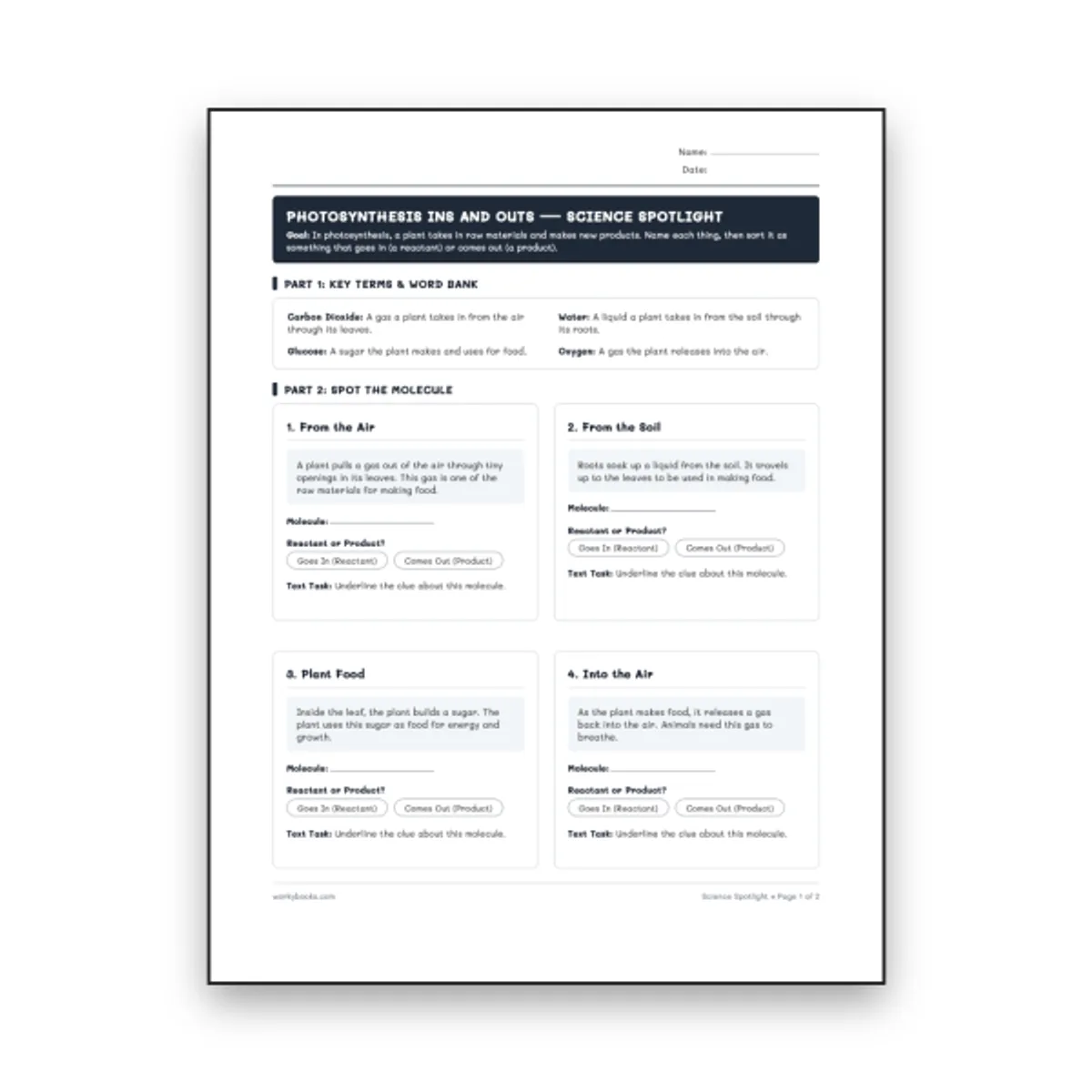Photosynthesis Ins and Outs — science worksheet for Grade 5, Grade 6, Grade 7, Grade 8, page 1 of null