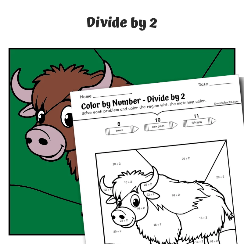div by 2 Color by Number — Artic Animal Musk Ox — math worksheet for Grade 3, page 1 of 1
