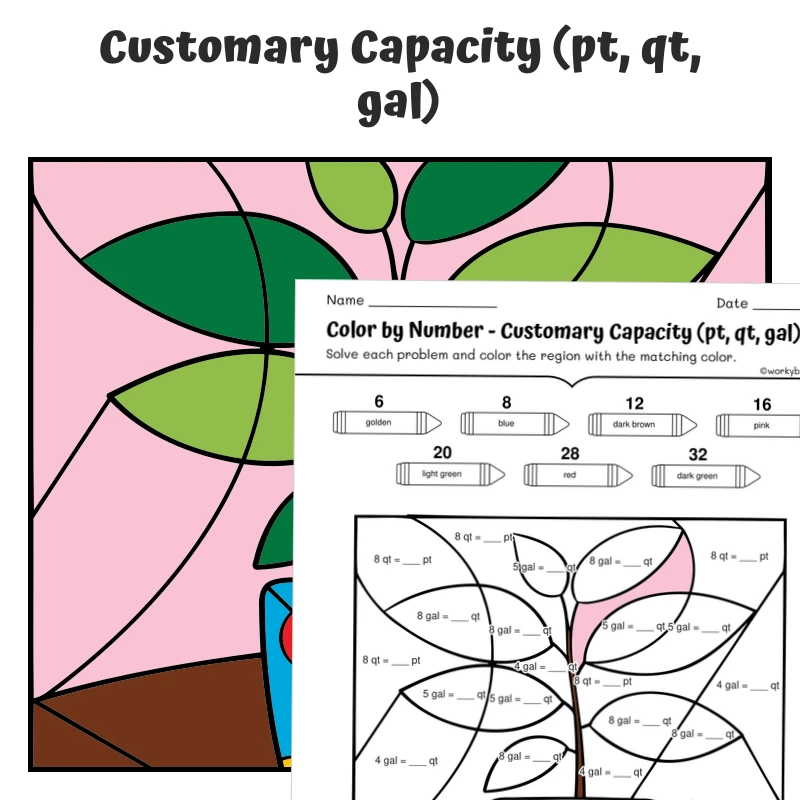 Customary Capacity Color by Number — plant 4 — math worksheet for Grade 4, Grade 5, page 1 of 1