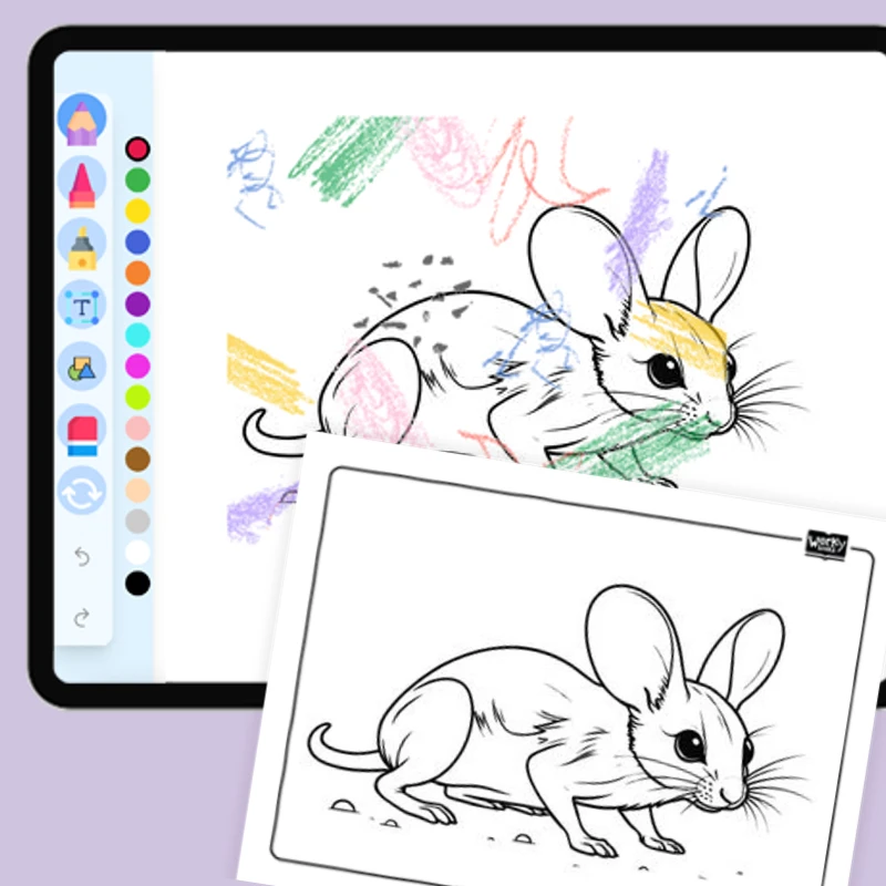 Desert Jerboa — coloring-pages coloring page for Grade 1, Grade 2, Grade 3, Grade 4, Grade 5, page 1 of 1