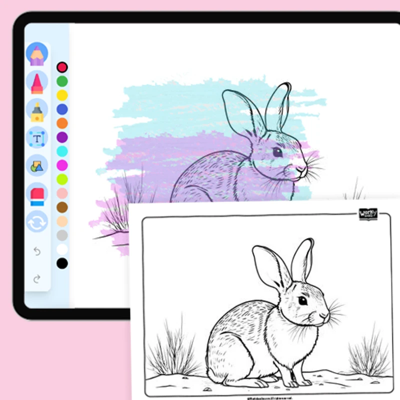 Desert Cottontail — coloring-pages coloring page for Grade 1, Grade 2, Grade 3, Grade 4, Grade 5, page 1 of 1