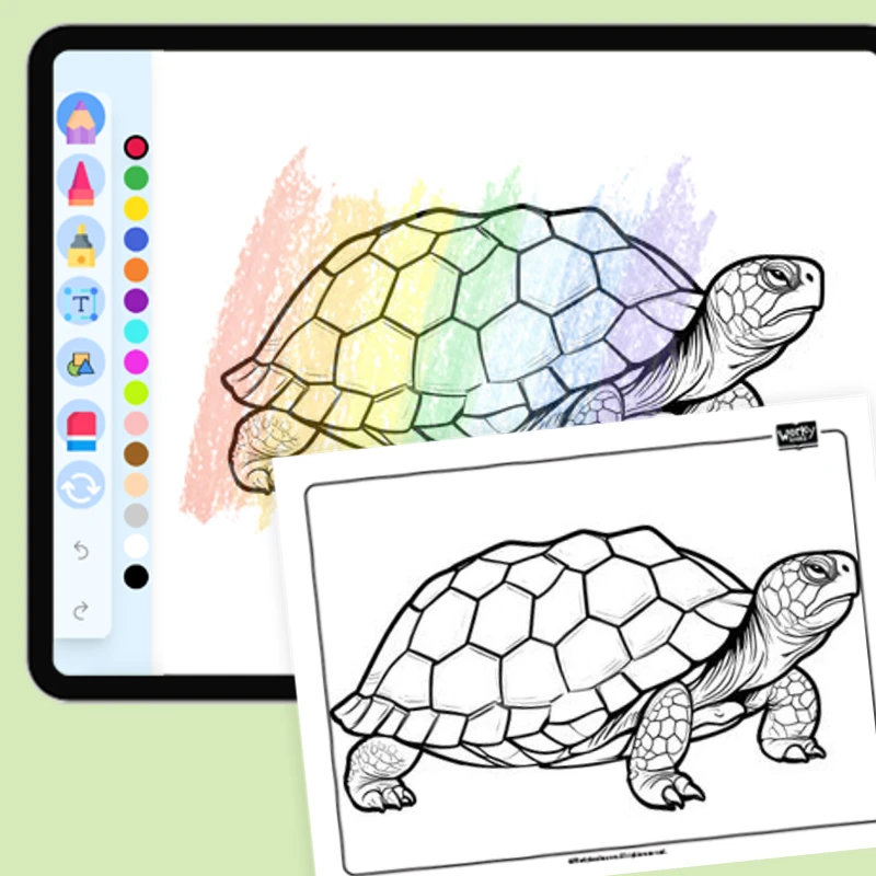 Desert Tortoise — coloring-pages coloring page for Grade 1, Grade 2, Grade 3, Grade 4, Grade 5, page 1 of 1