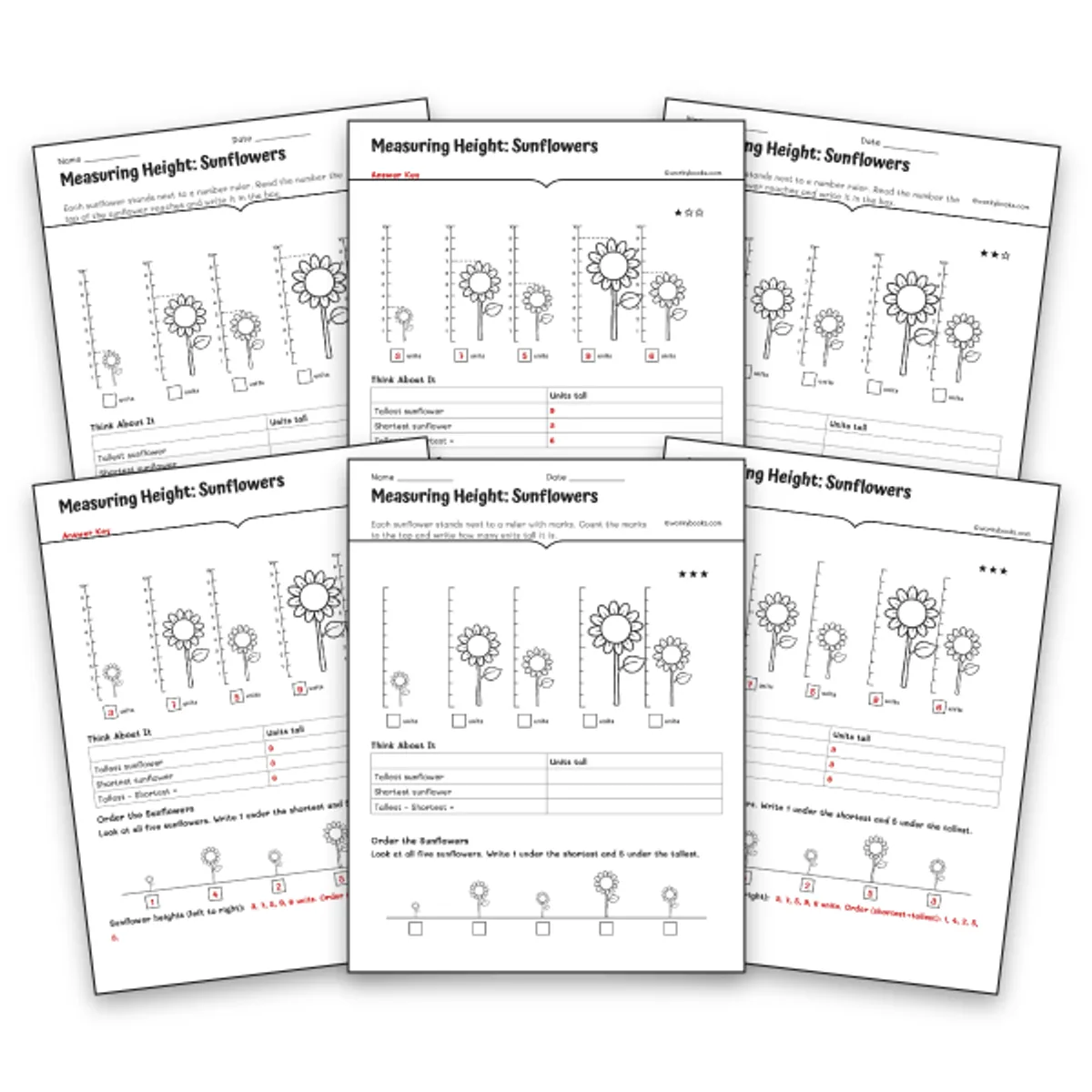 Measuring Height: Sunflowers — math worksheet for Grade K, Grade 1, page 1 of null