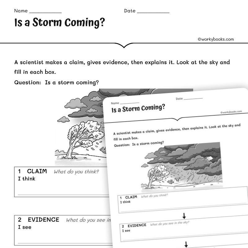 Is a Storm Coming? — science worksheet for Grade 1, Grade 2, Grade 3, page 1 of null