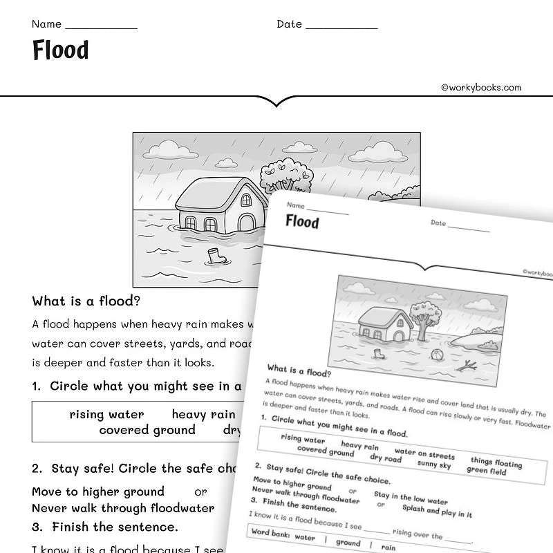 Flood — science worksheet for Grade 1, Grade 2, Grade 3, page 1 of null