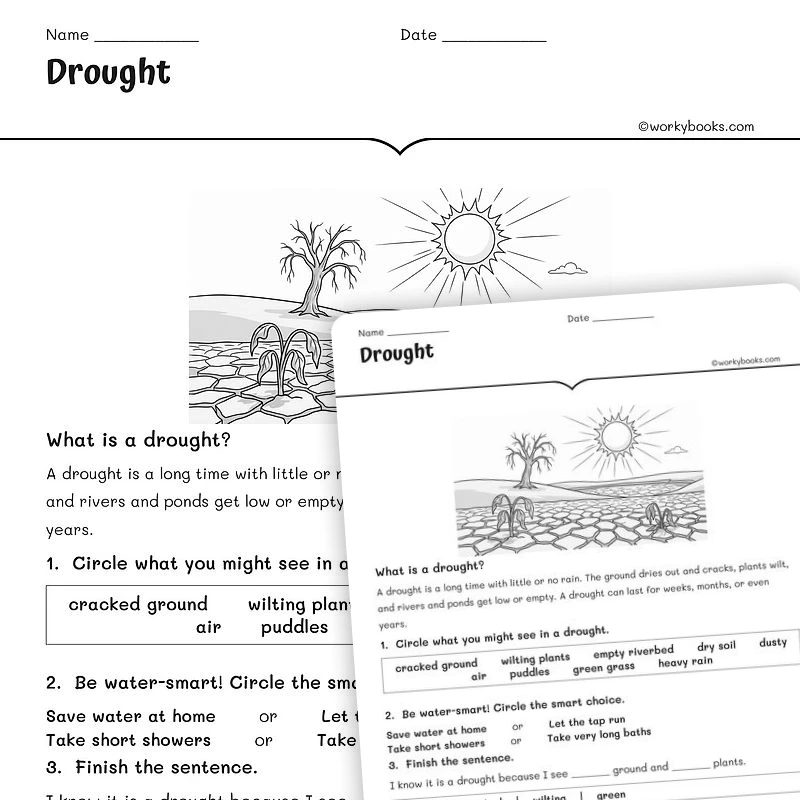 Drought — science worksheet for Grade 1, Grade 2, Grade 3, page 1 of null