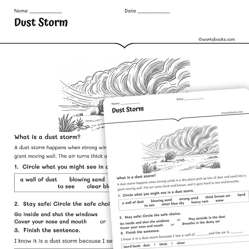 Dust Storm — science worksheet for Grade 1, Grade 2, Grade 3, page 1 of null
