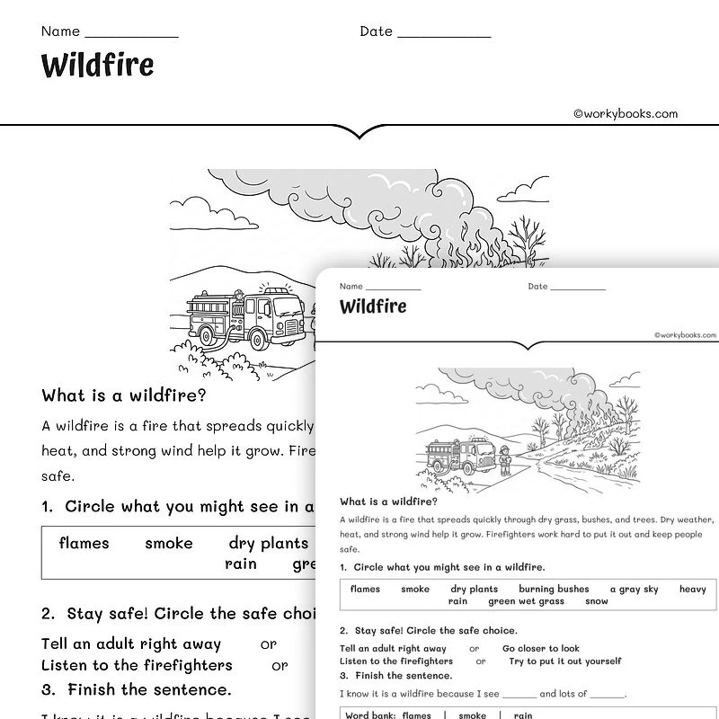 Wildfire — science worksheet for Grade 1, Grade 2, Grade 3, page 1 of null