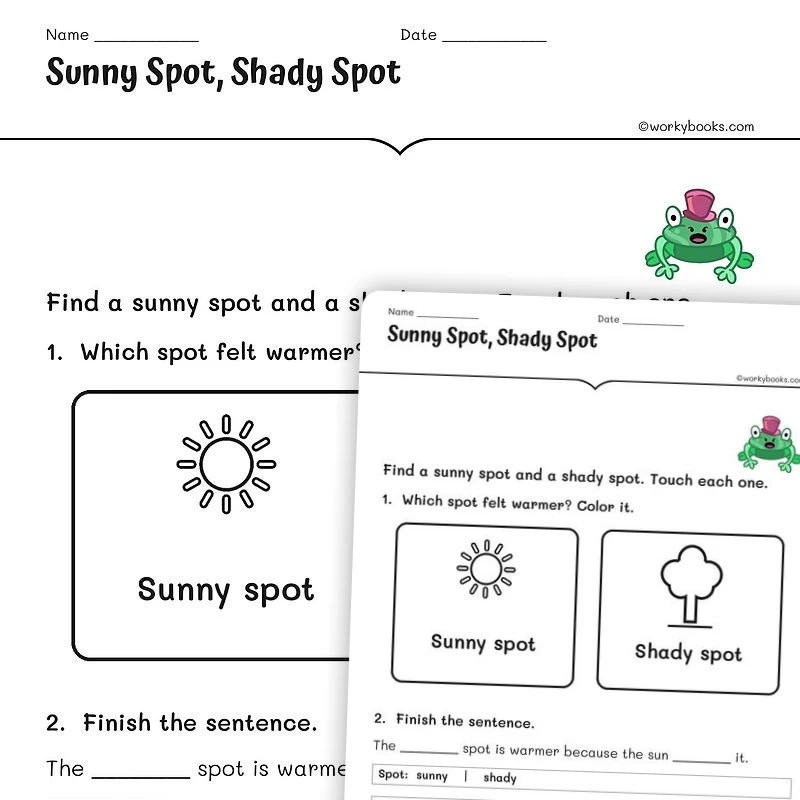 Sunny Spot, Shady Spot — science worksheet for Grade K, Grade 1, Grade 2, page 1 of null