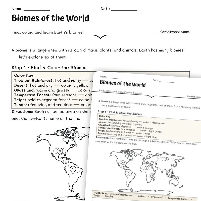 Biomes of the World — science worksheet for Grade 4, Grade 5, page 1 of null