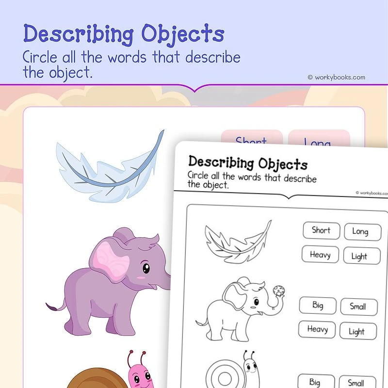 Describe Measurable Attributes — math worksheet for Grade K, page 1 of 3