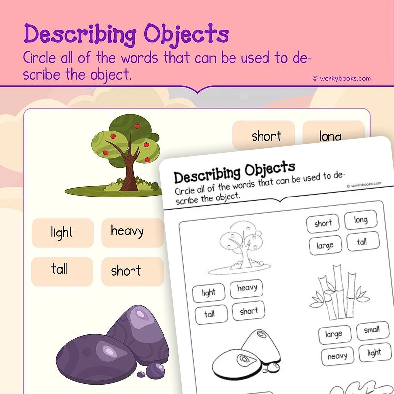 Describing Objects 3 — math worksheet for Grade K, page 1 of 3
