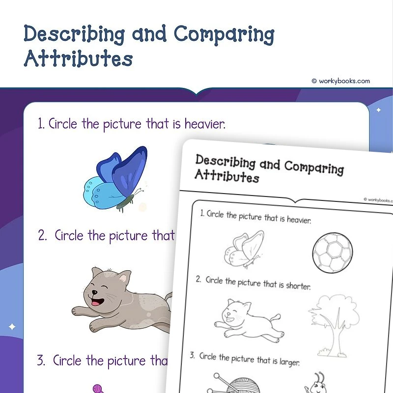 Describing and Comparing Attributes — math worksheet for Grade K, page 1 of 3