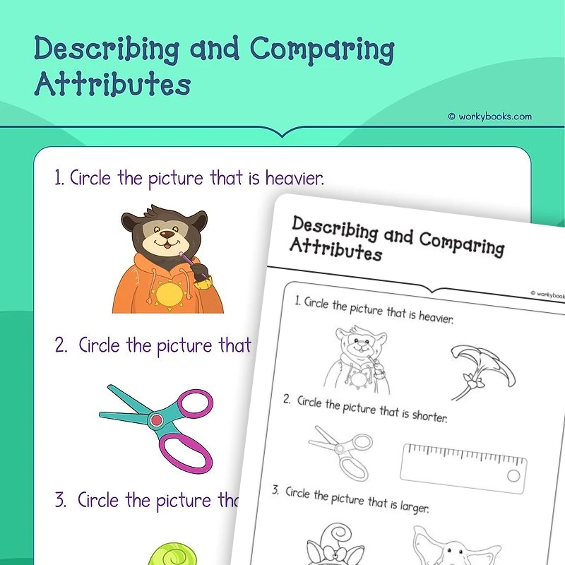 Describing and Comparing Measurable Attributes — math worksheet for Grade K, page 1 of 3