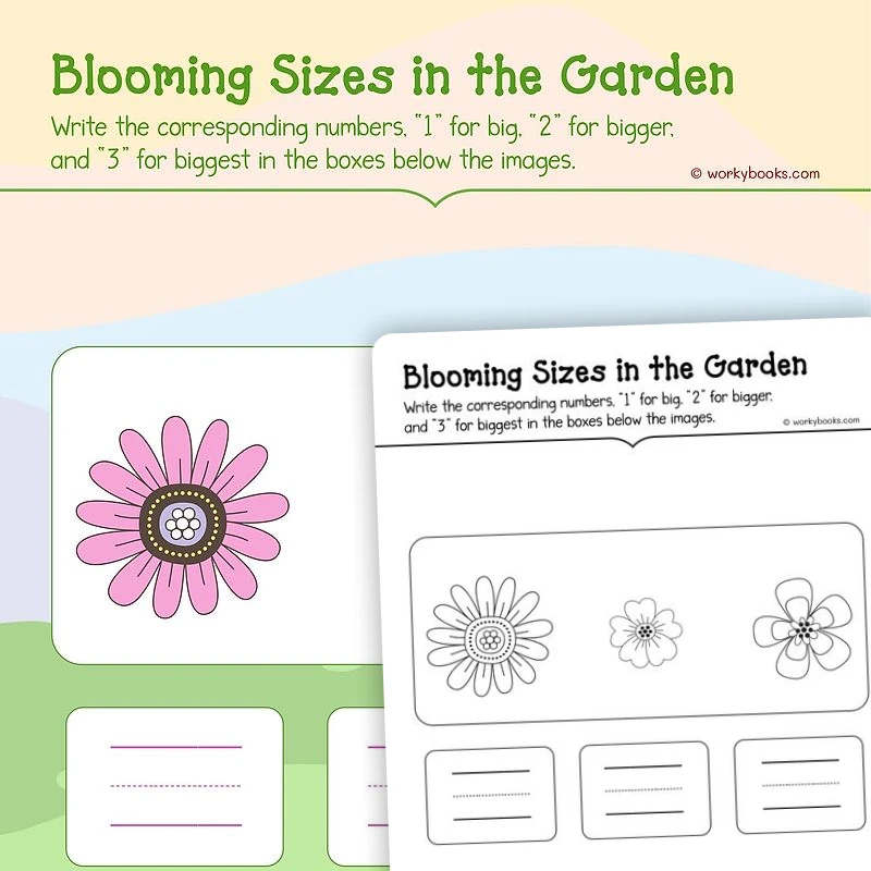 Blooming Sizes in the Garden — math worksheet for Grade K, page 1 of 3