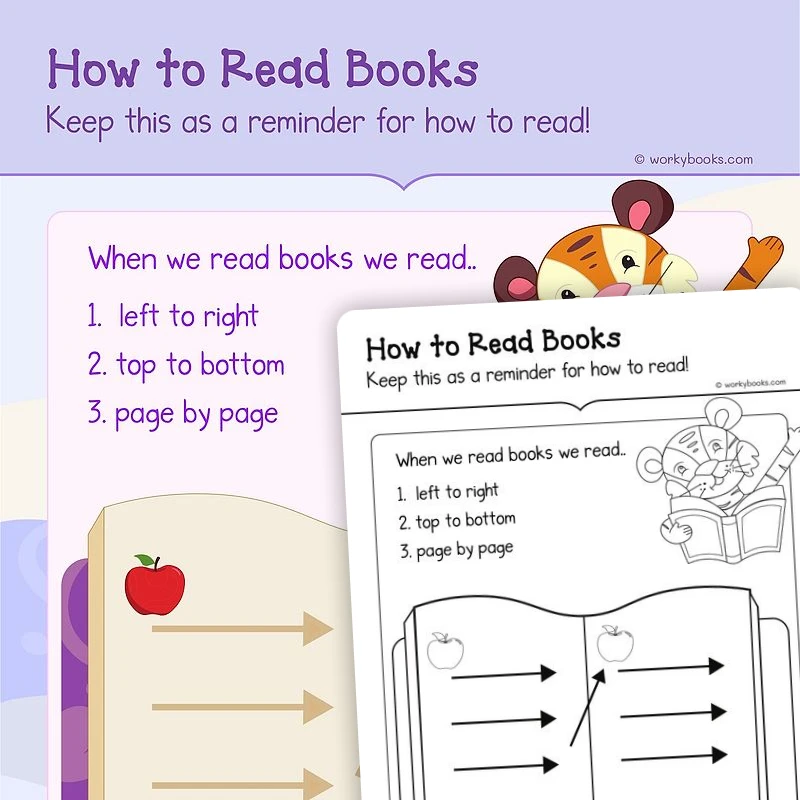 Basic Features of Print — ela resource for Grade K, page 1 of 3