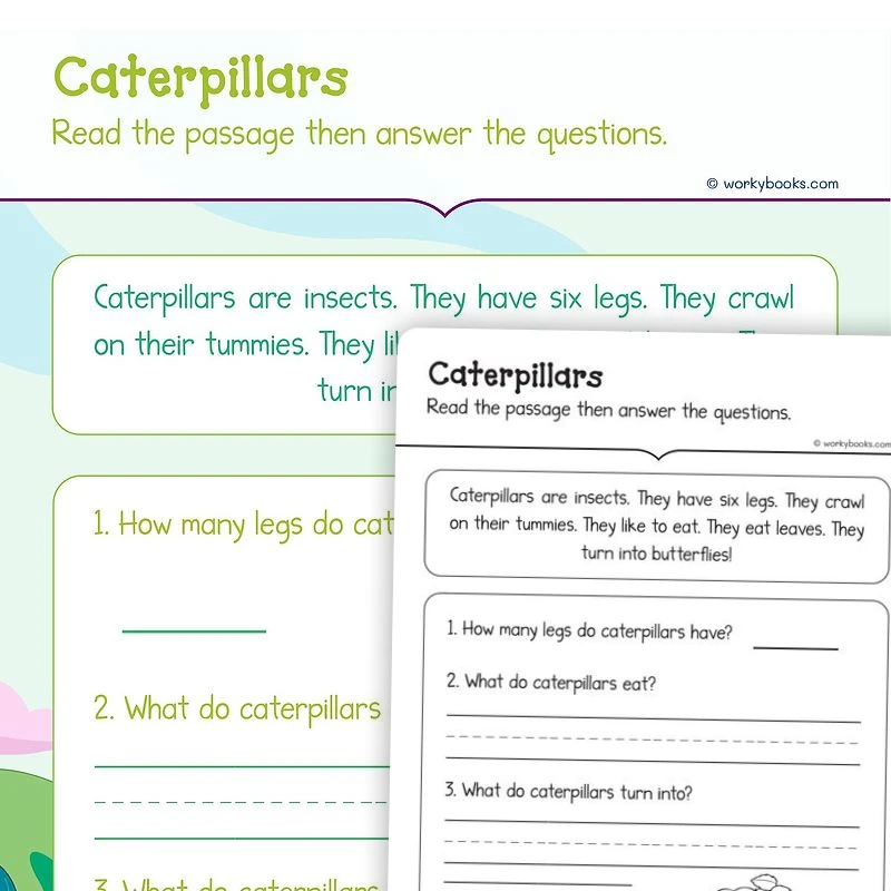 Caterpillars—Informational Text — ela worksheet for Grade K, Grade 1, page 1 of 3