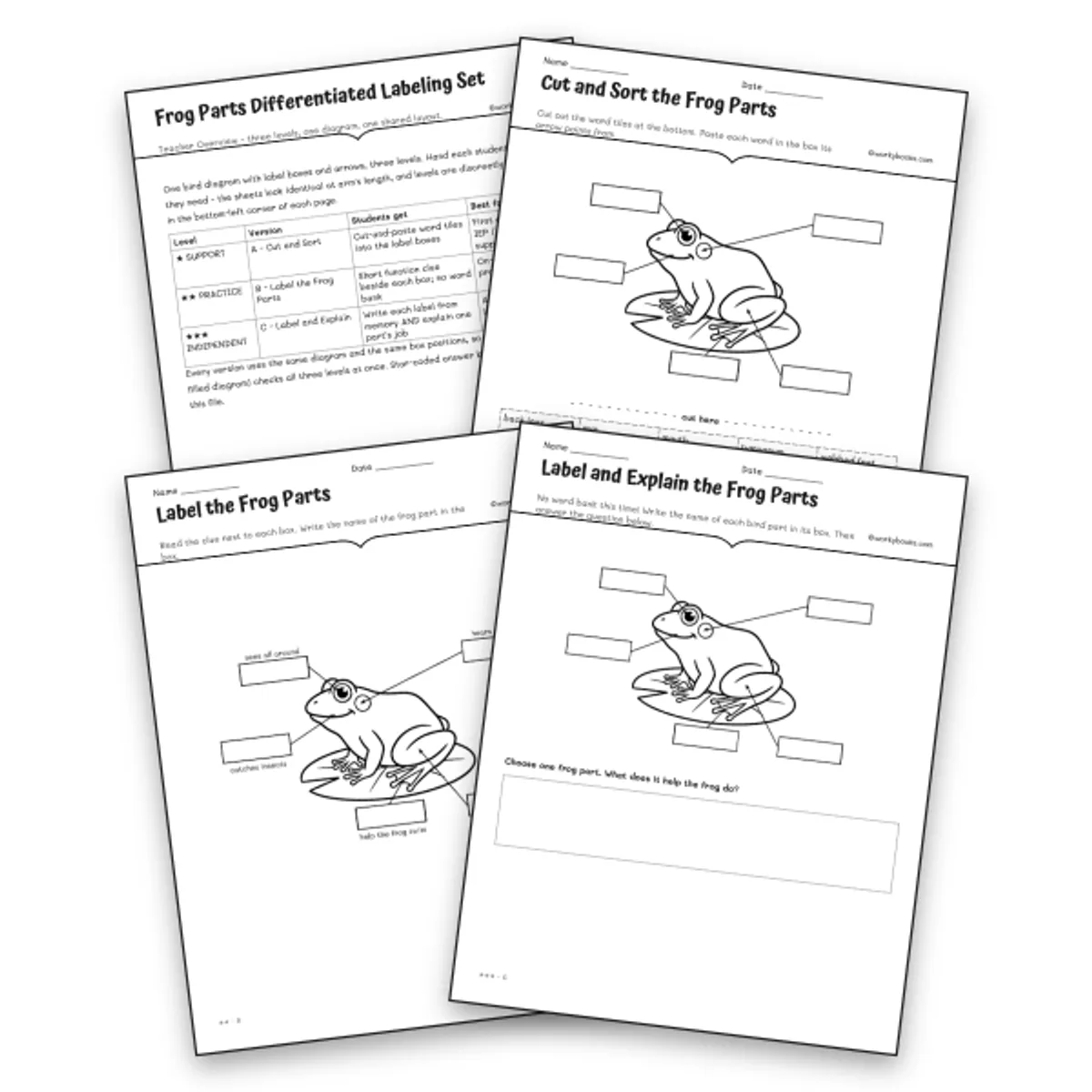 Frog Parts Differentiated Labeling Set — science worksheet for Grade 3, Grade 4, page 1 of null