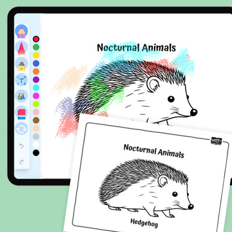 Prickly Hedgehog — coloring-pages coloring page for Grade 1, Grade 2, Grade 3, Grade 4, Grade 5, page 1 of 1
