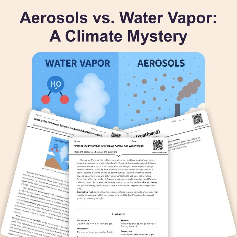 What Is The Difference Between An Aerosol And Water Vapor? — science — reading comprehension for Grade 6, page 1 of 4